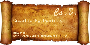 Csapliczky Dominik névjegykártya